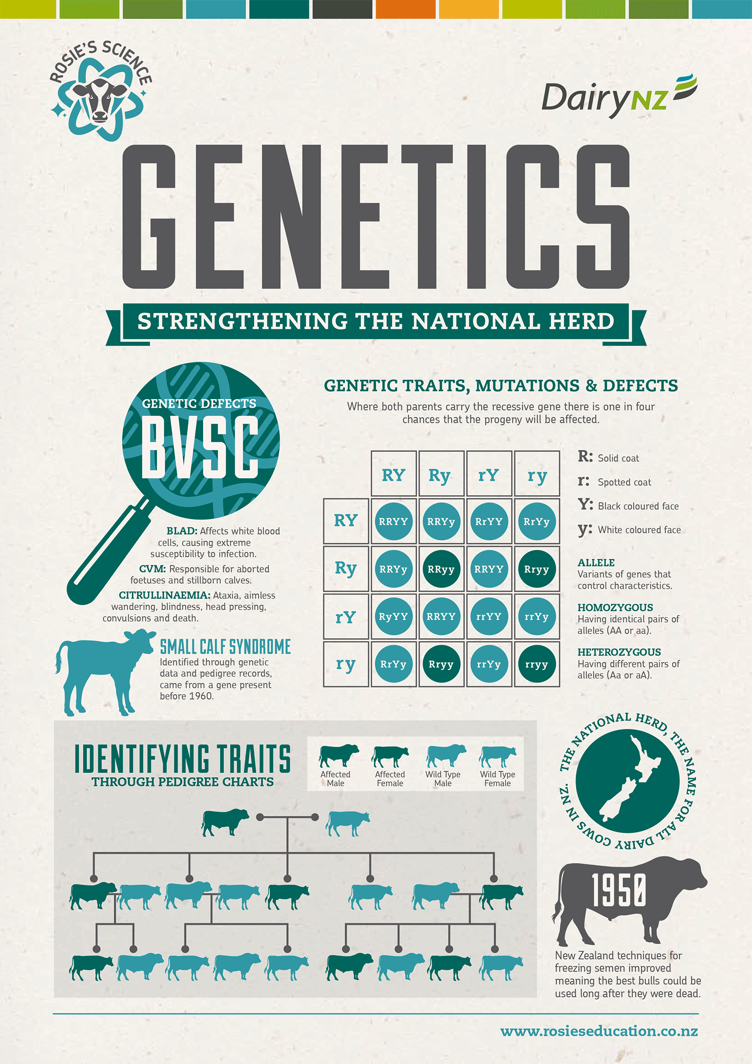Genetics.png