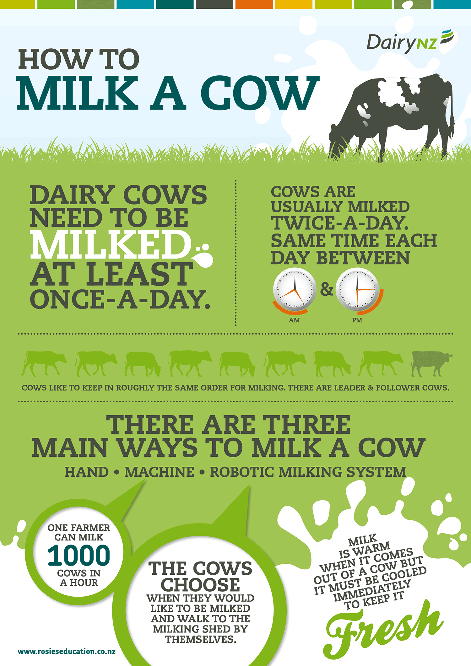 How-to-milk-a-cow.png