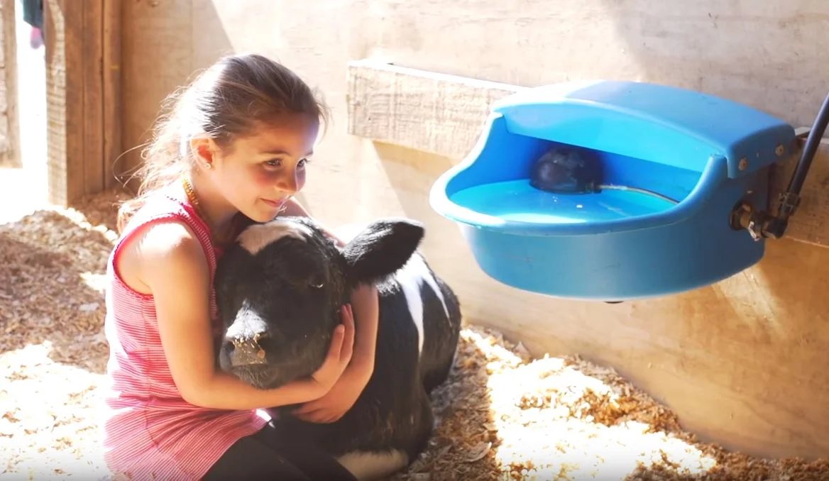 Fairhaven Primary School