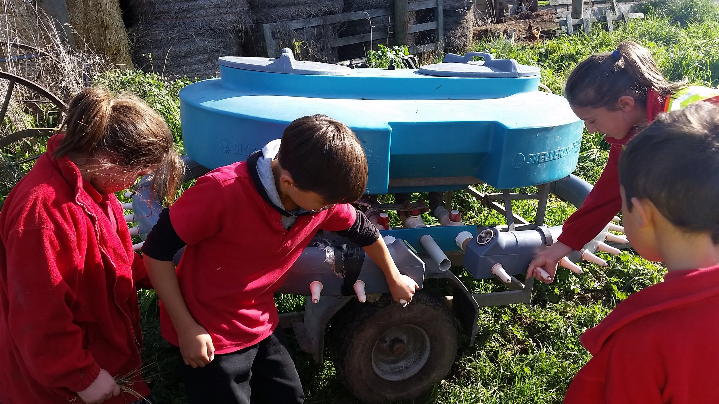 Dairy Farm Moment in Time