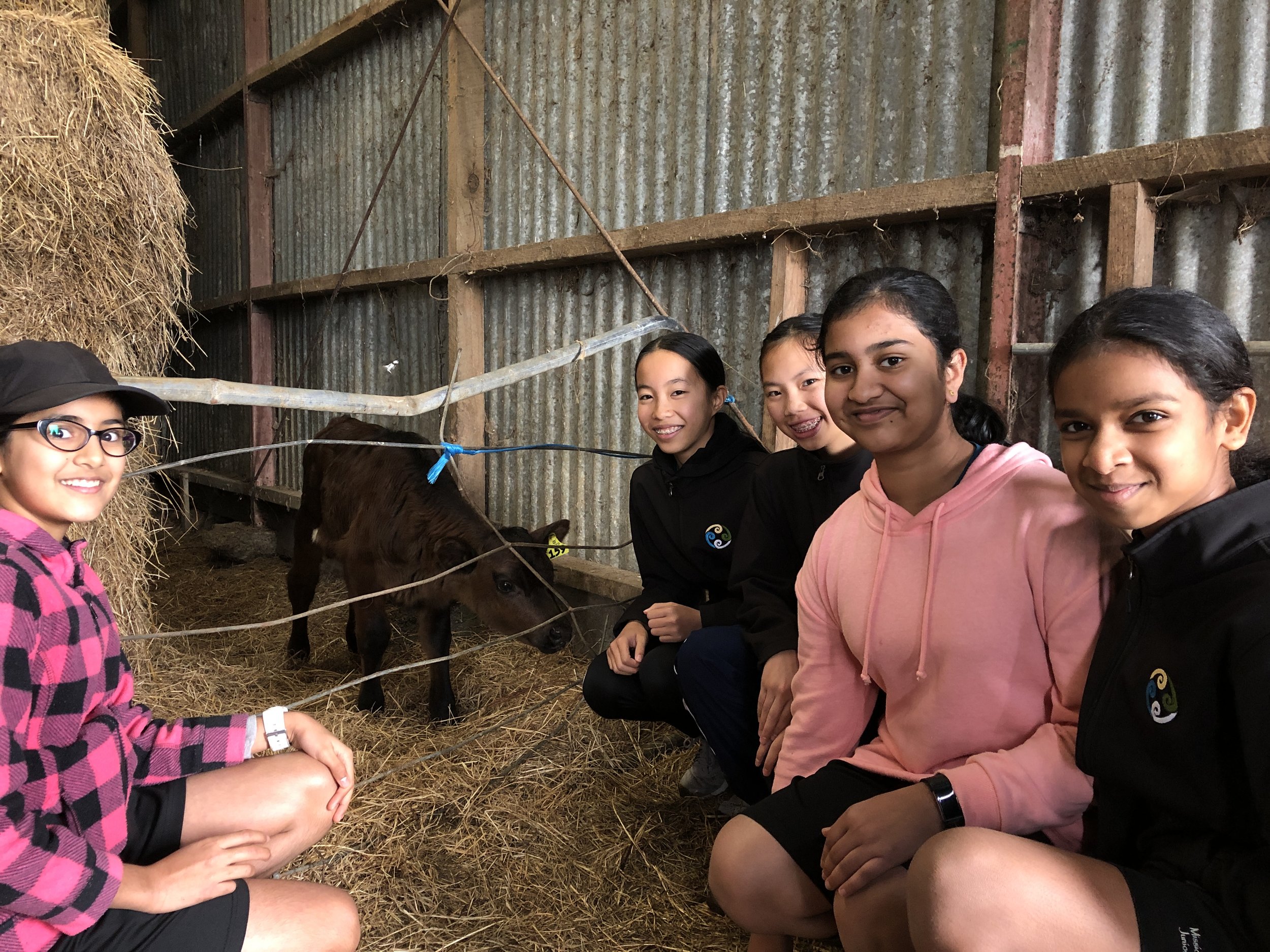 Mission Heights Junior College 