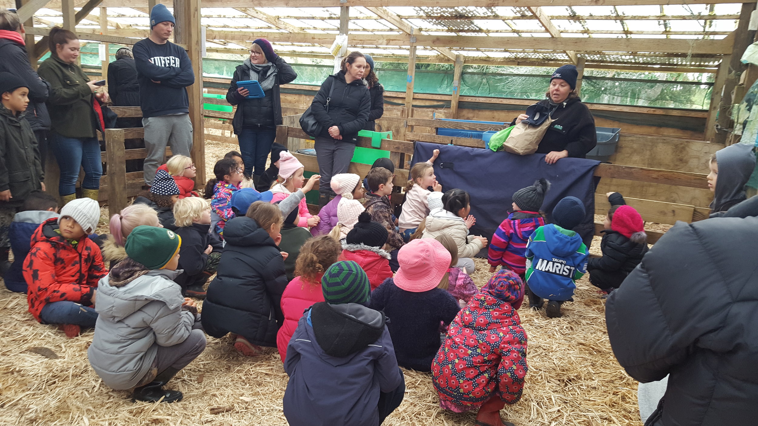 St Patrick's Taupō visit a local farm...