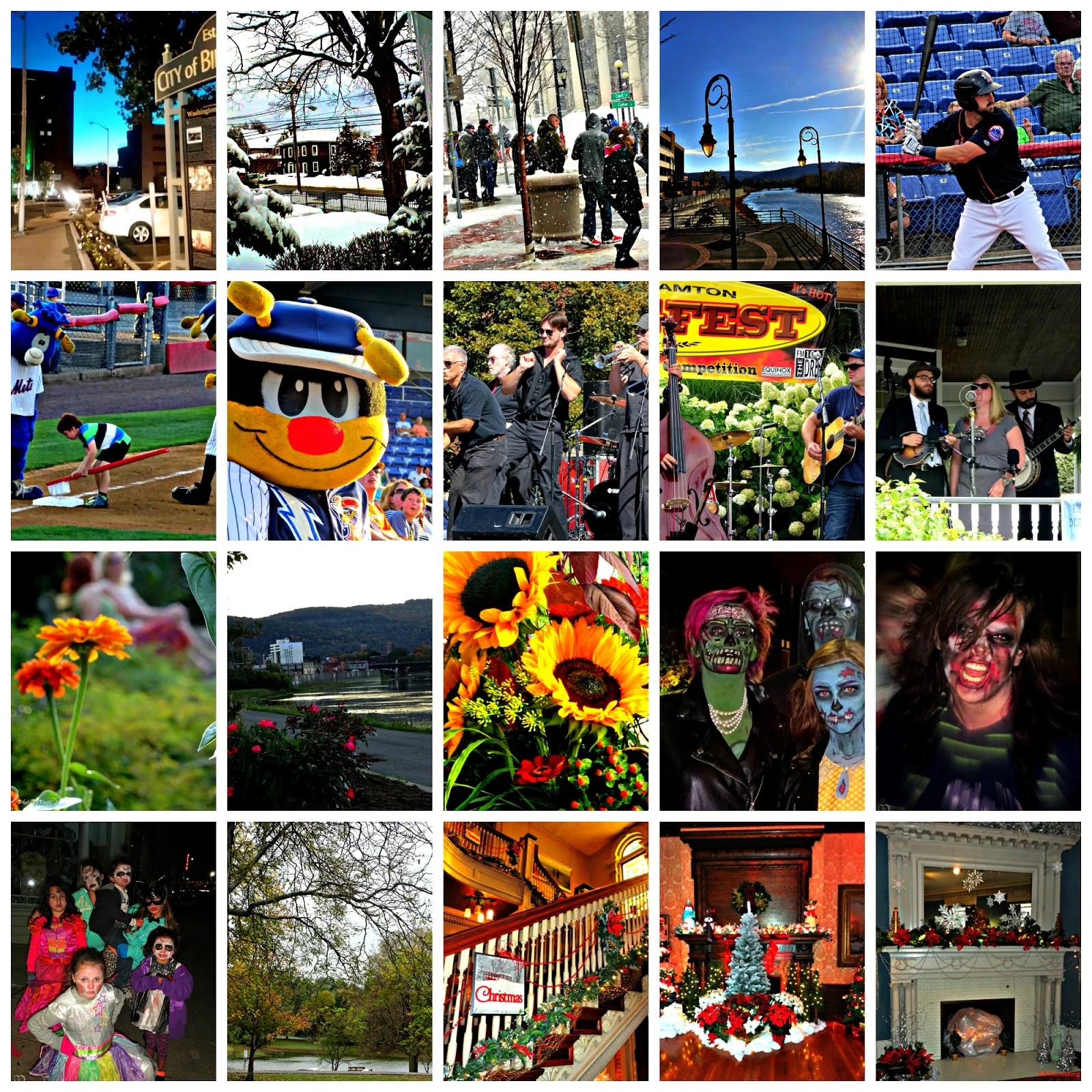 Photo is courtesy of Patti Schwartz and http://www.pattilovesbing.com/