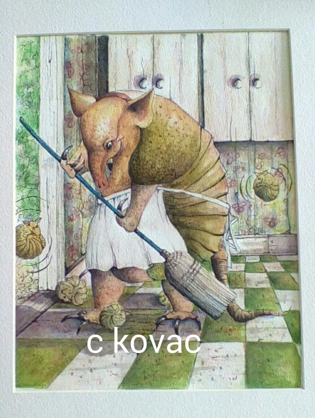 Armadilo housewife.png