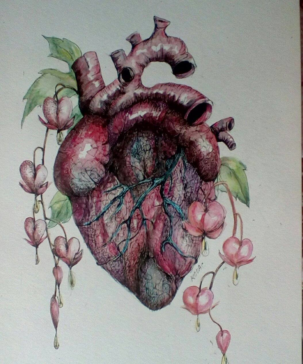 Bleeding Hearts.png