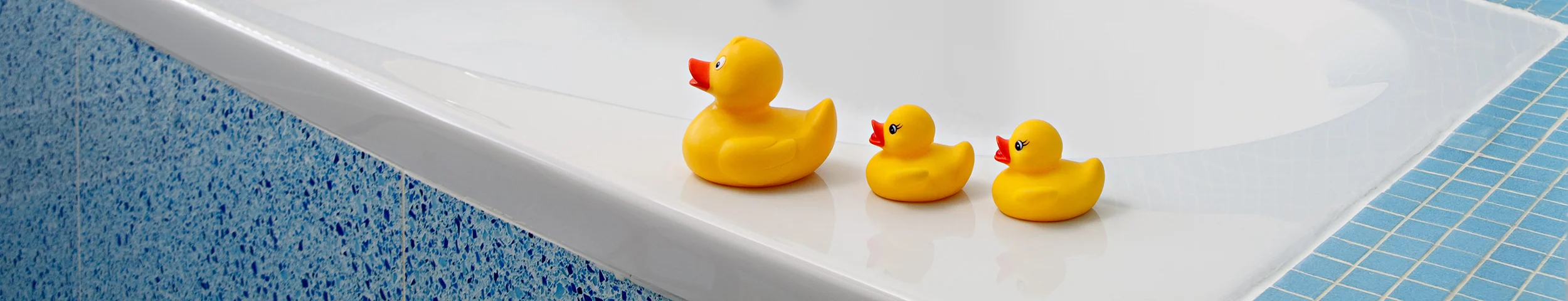 Ducks_98844067.jpg