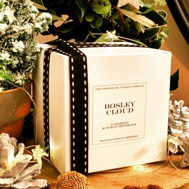 BosleyCloud-Boxed.JPG