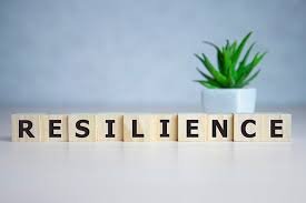 Business Resilience and Disaster Recovery Auditing