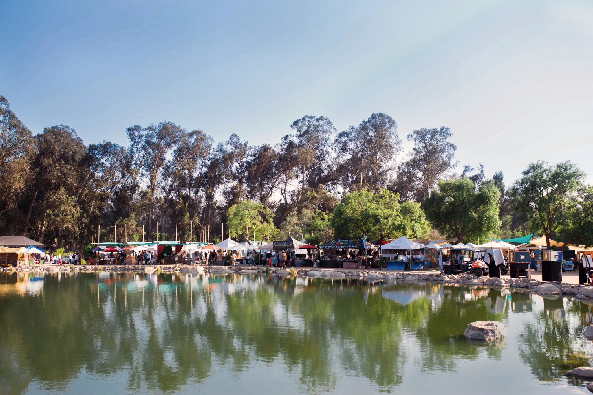 unspecified-1 copy.jpg