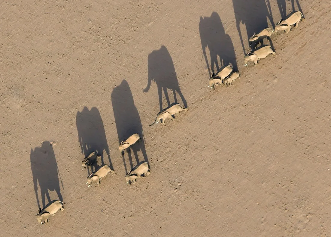 "Yes, You Can Go on an African Vacation with Your Kids," Condé Nast Traveler