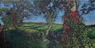  Stephen Horne's  "Near and Far"