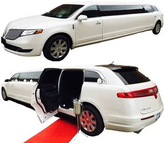 chicago-stretch-limo-for-wedding-cloud9limousine.jpg