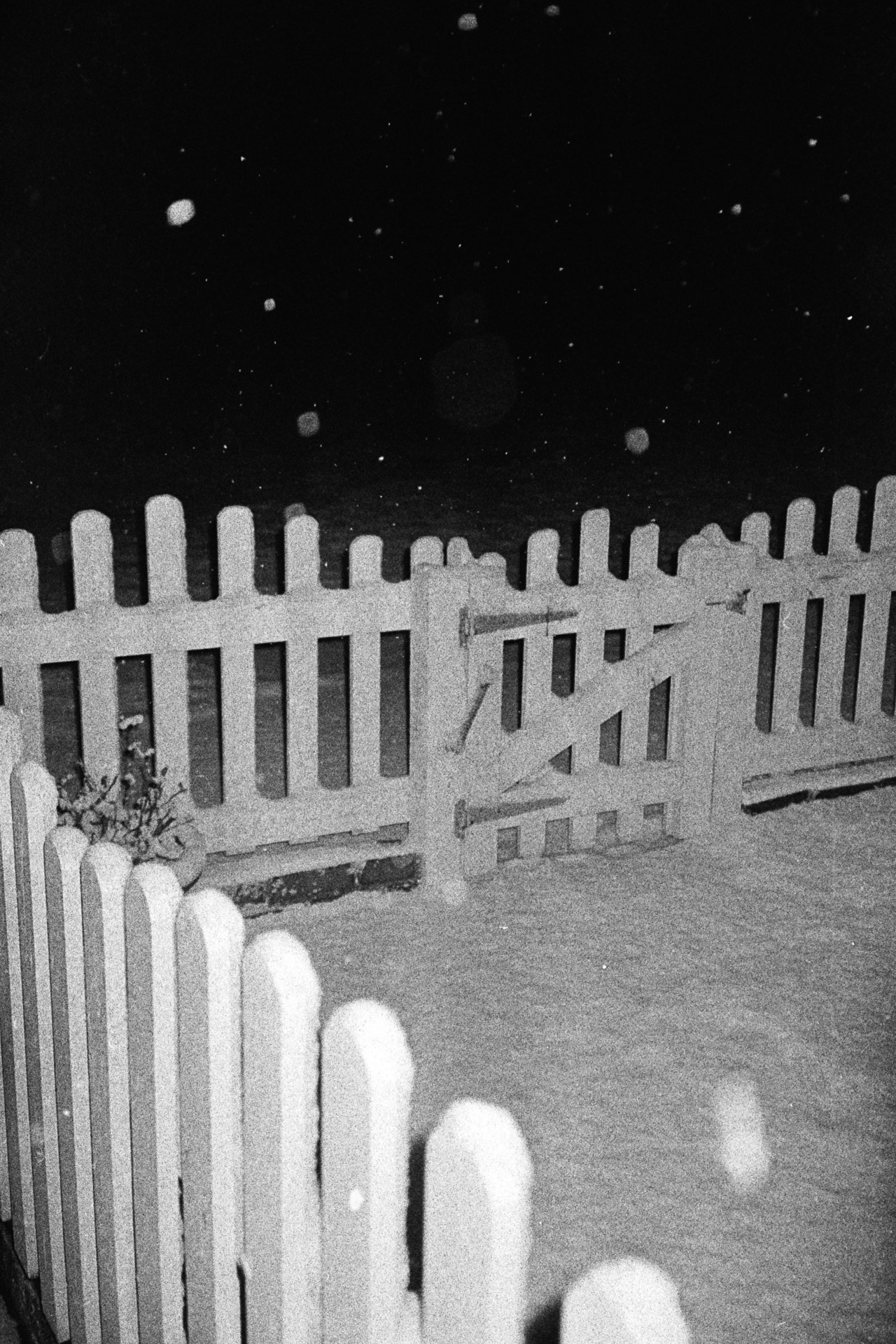 snow-9.jpg