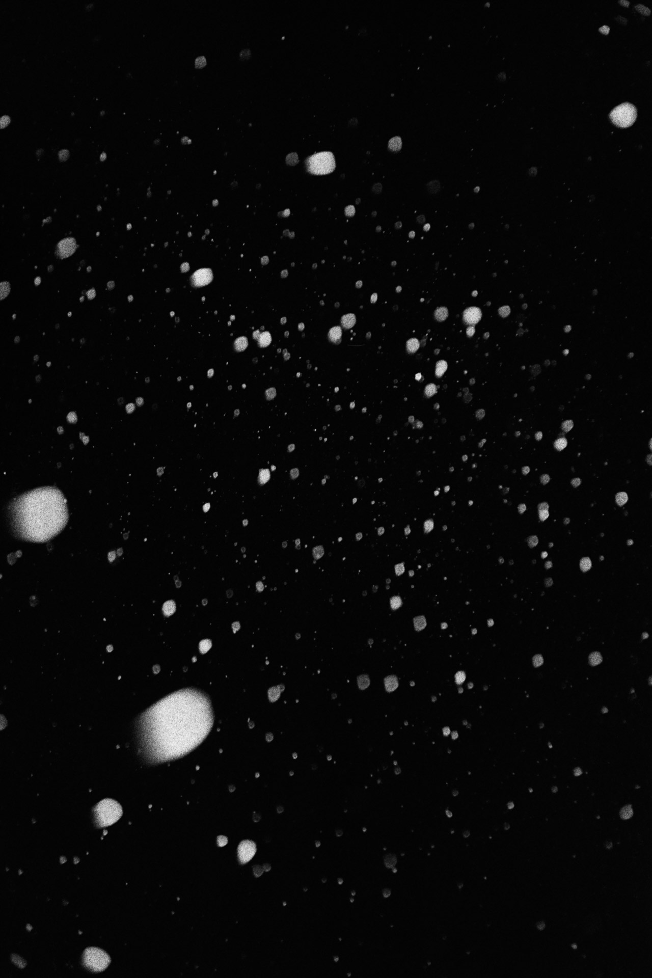 snow-15.jpg