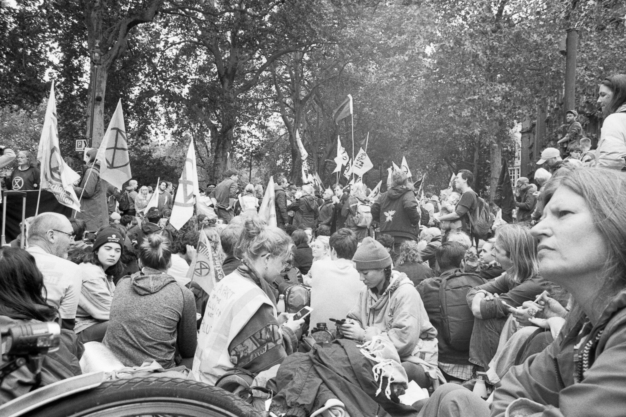 Image 10-2.jpg