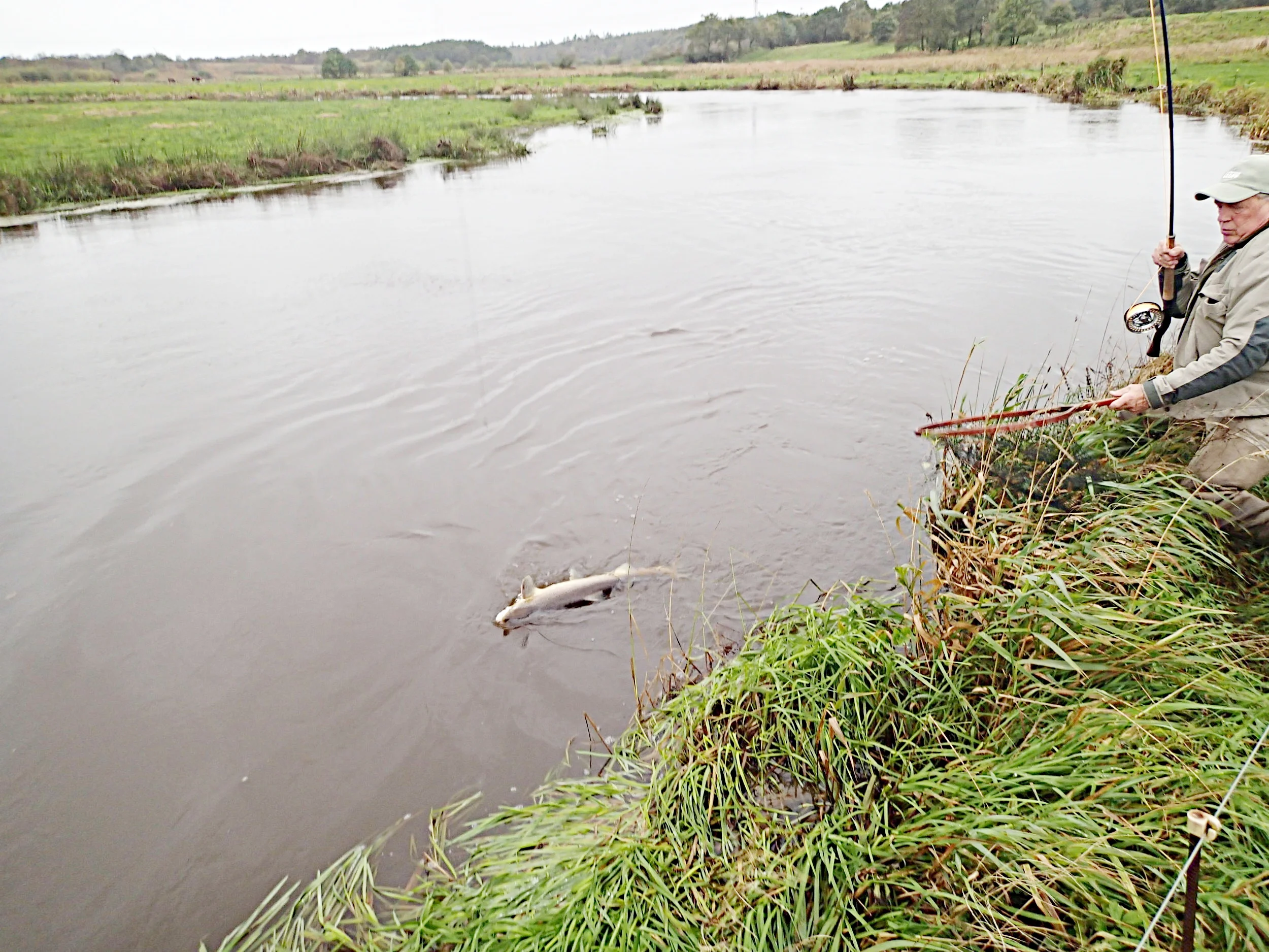 11.10.2017 Ejner under landing.JPG