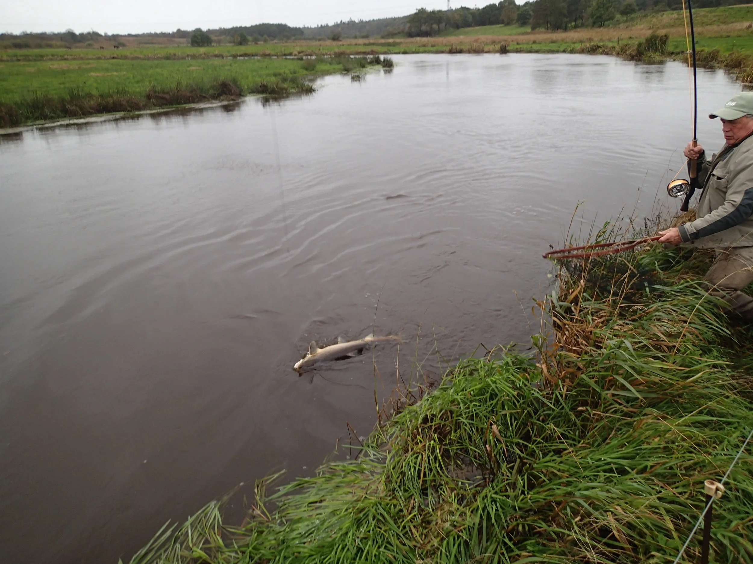 11.10.2017 Ejner under landing.JPG