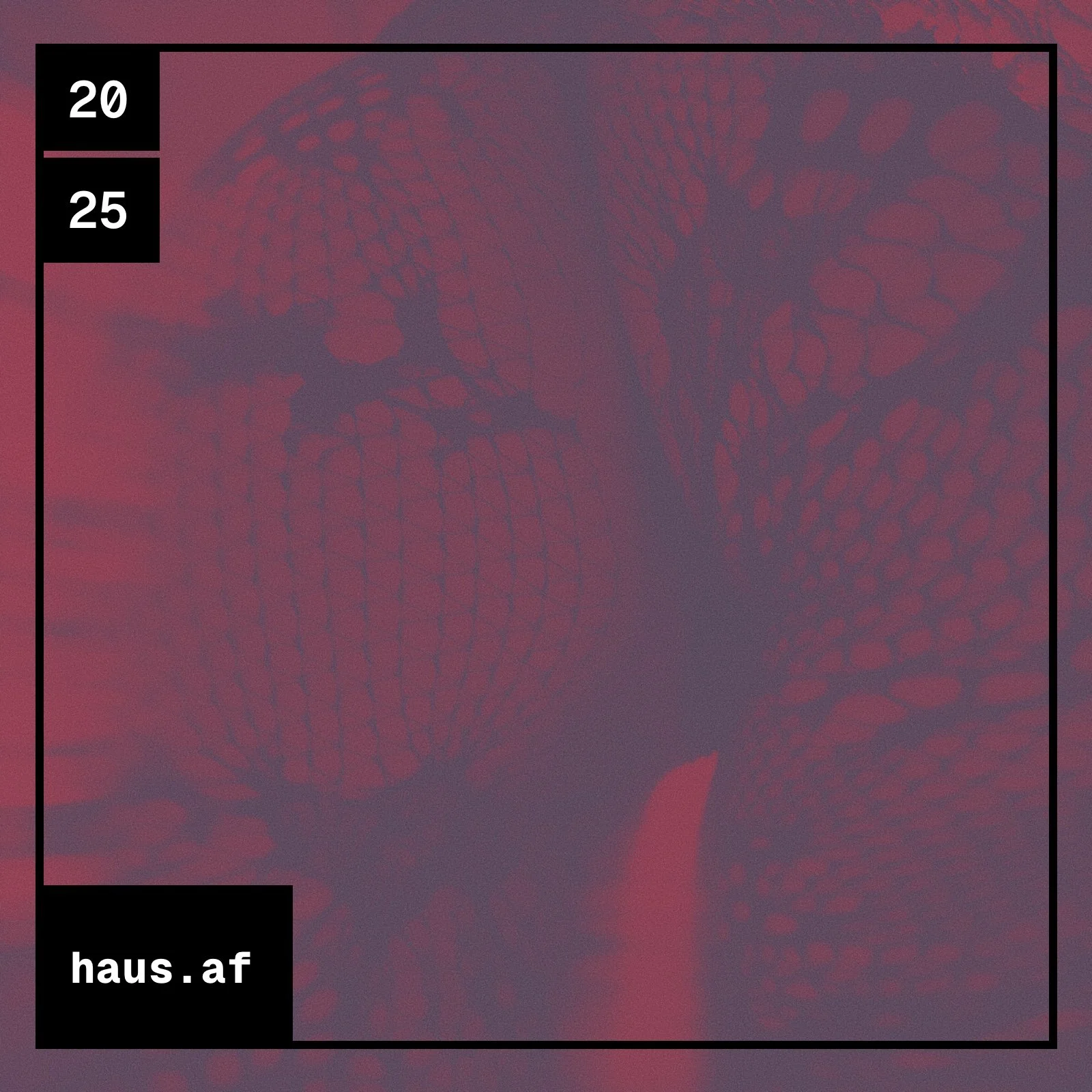 2025 // haus.af