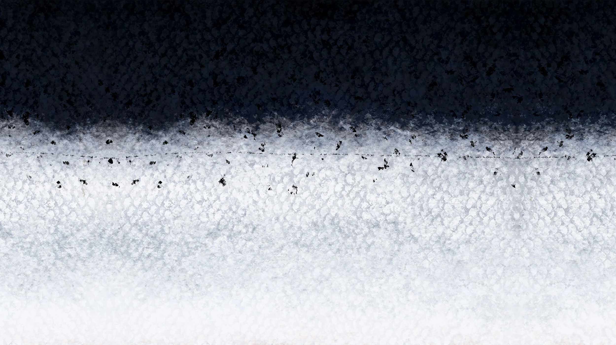 atlanticsalmon.jpg
