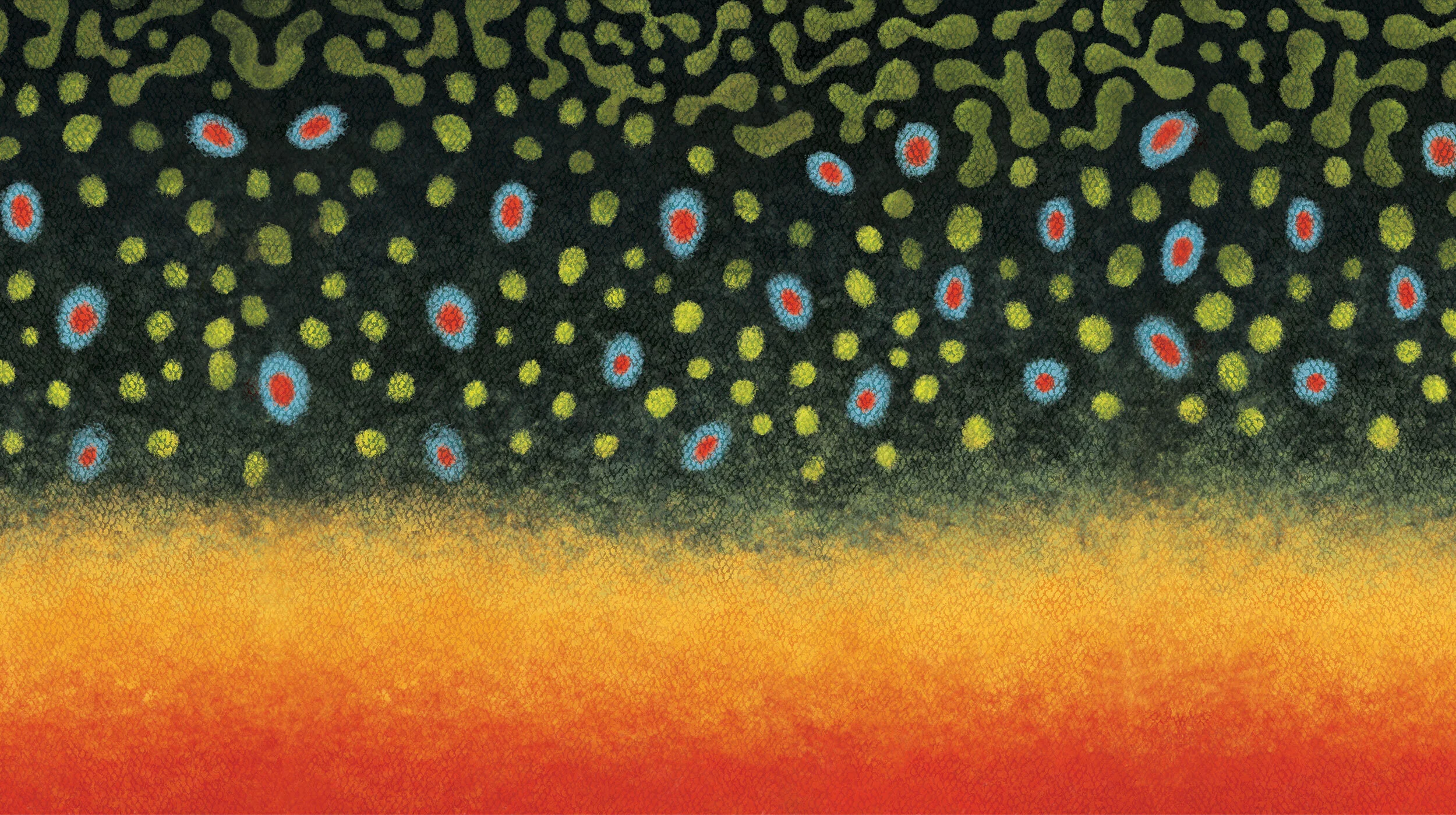 brooktrout.jpg