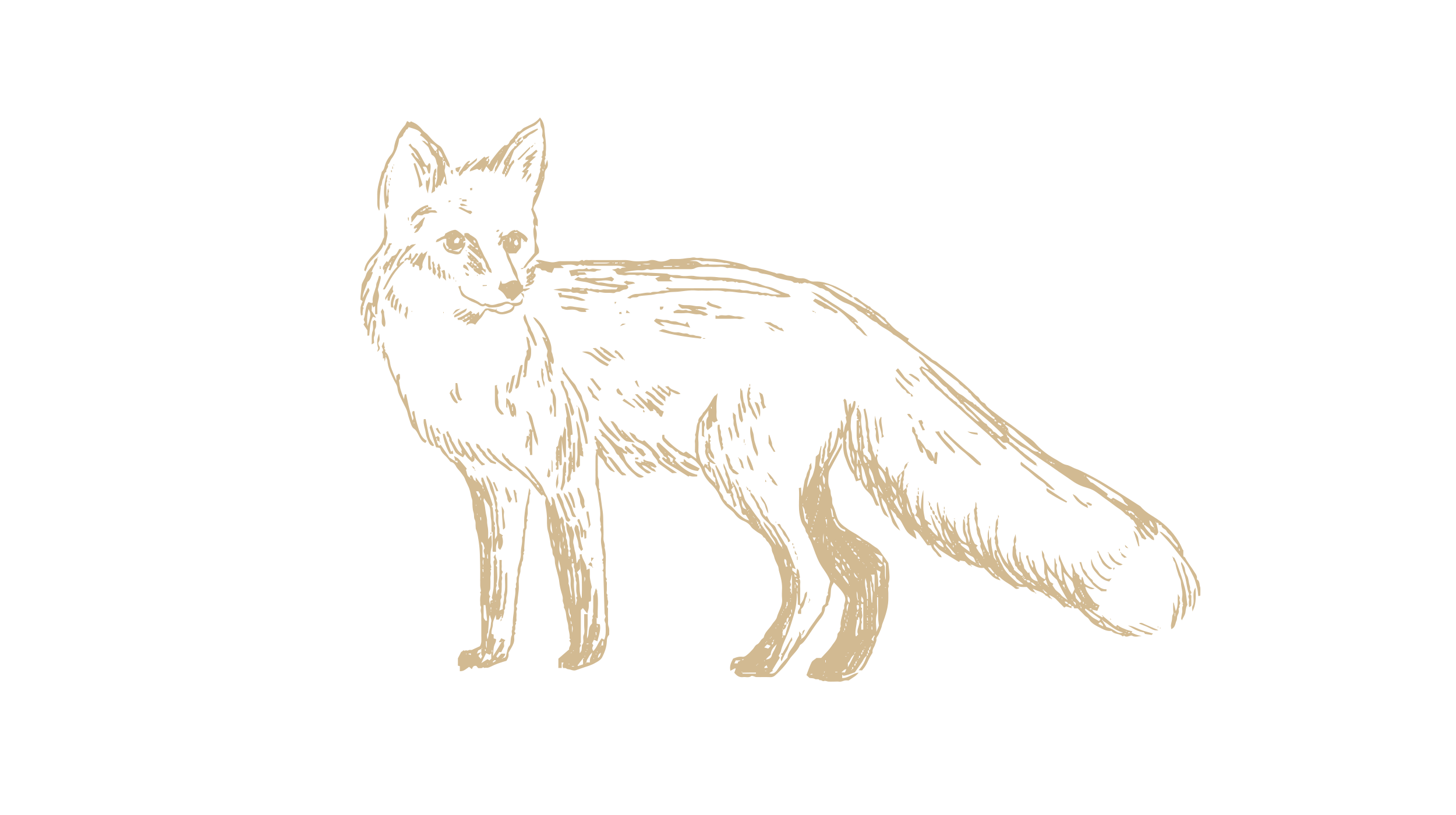 pinedoodles_01.png