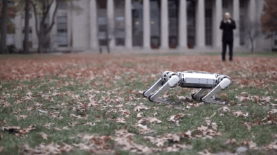 Backflipping MIT Mini Cheetah 2.gif