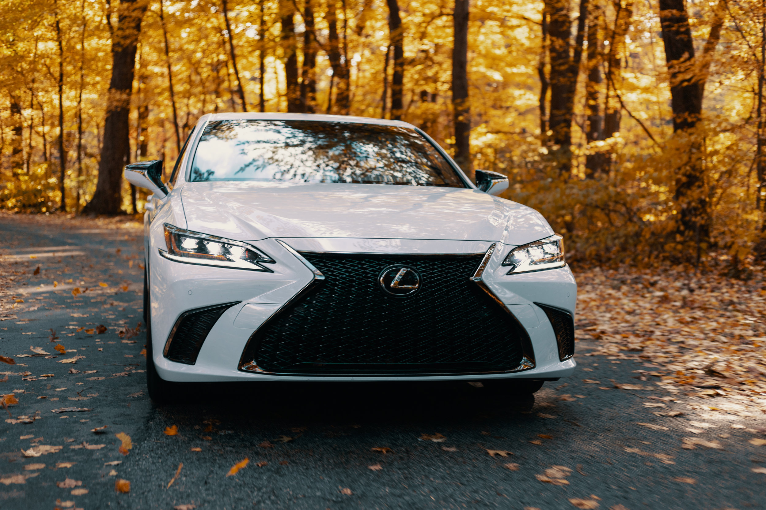Lexus.LeCouer (24 of 38).jpg