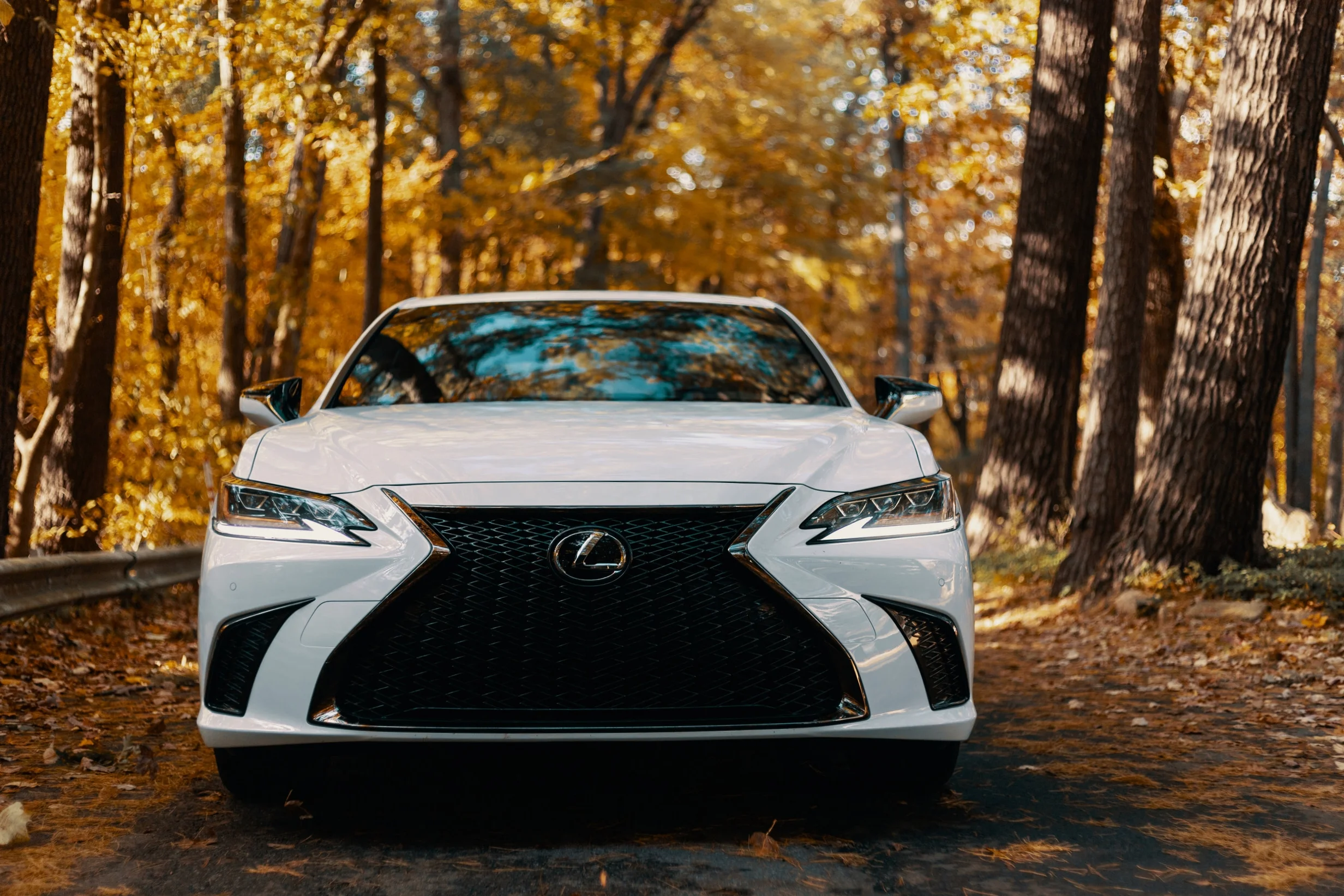 Lexus.LeCouer (21 of 38).jpg