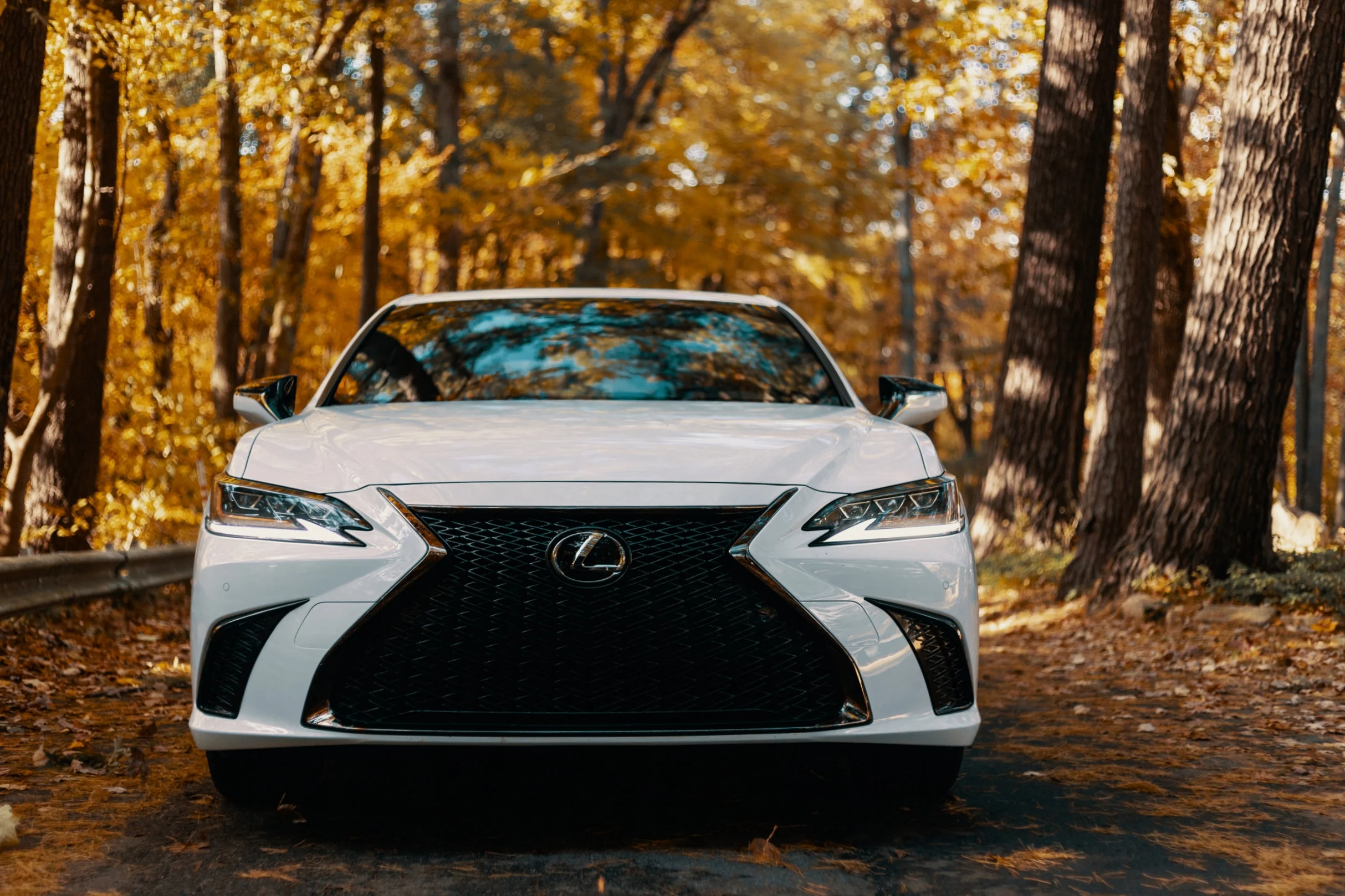 Lexus.LeCouer (21 of 38).jpg