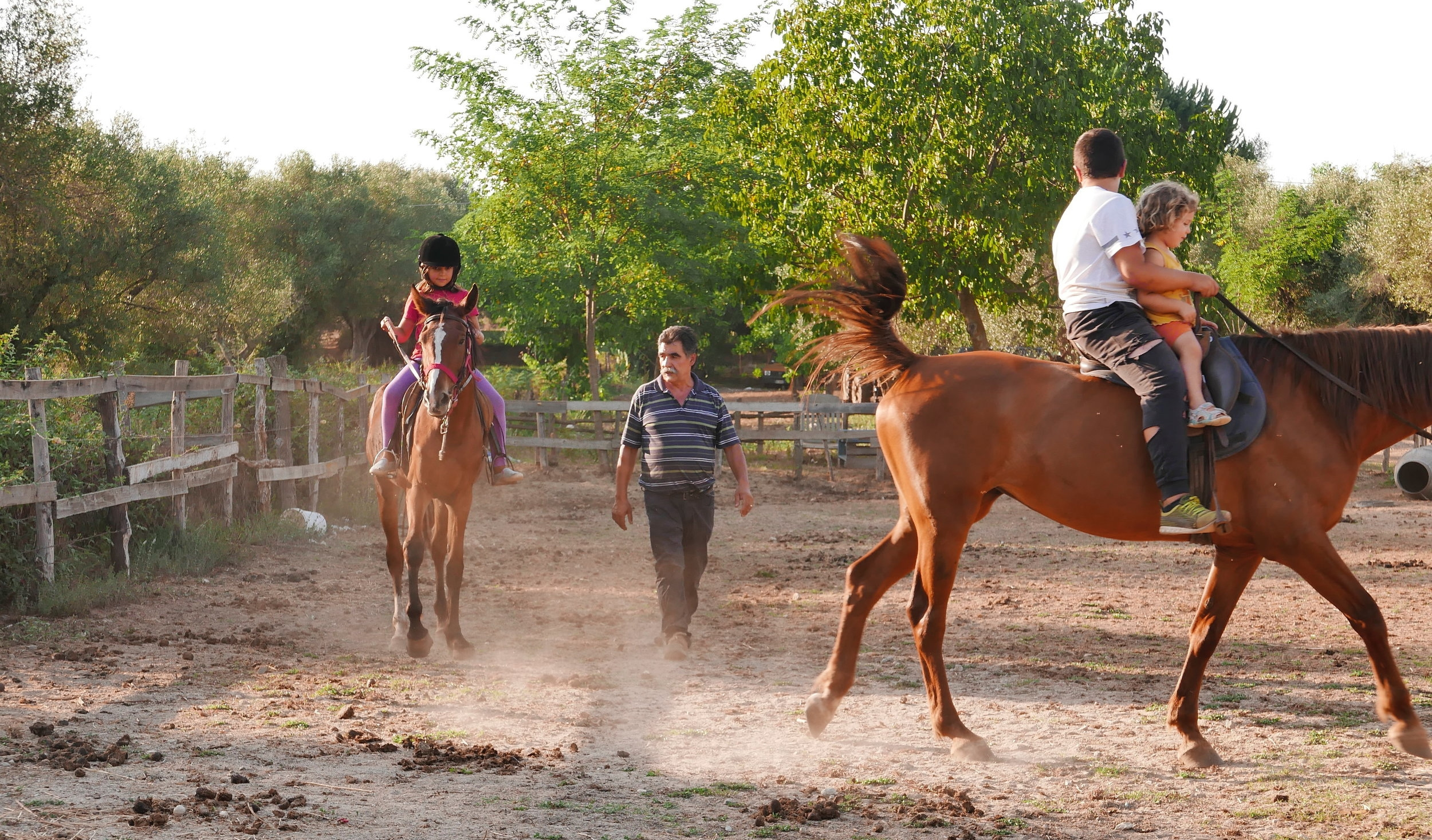 Alexander Technique for horse riding