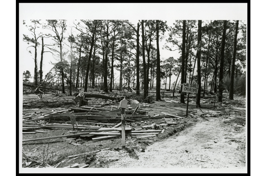 From the Hurricane Camille Photograph collection. Photograph of a sign that has been posted by Hurricane Camille survivors on which one of the few pines left standing amidst destruction. The sign reads "we shall overcome."