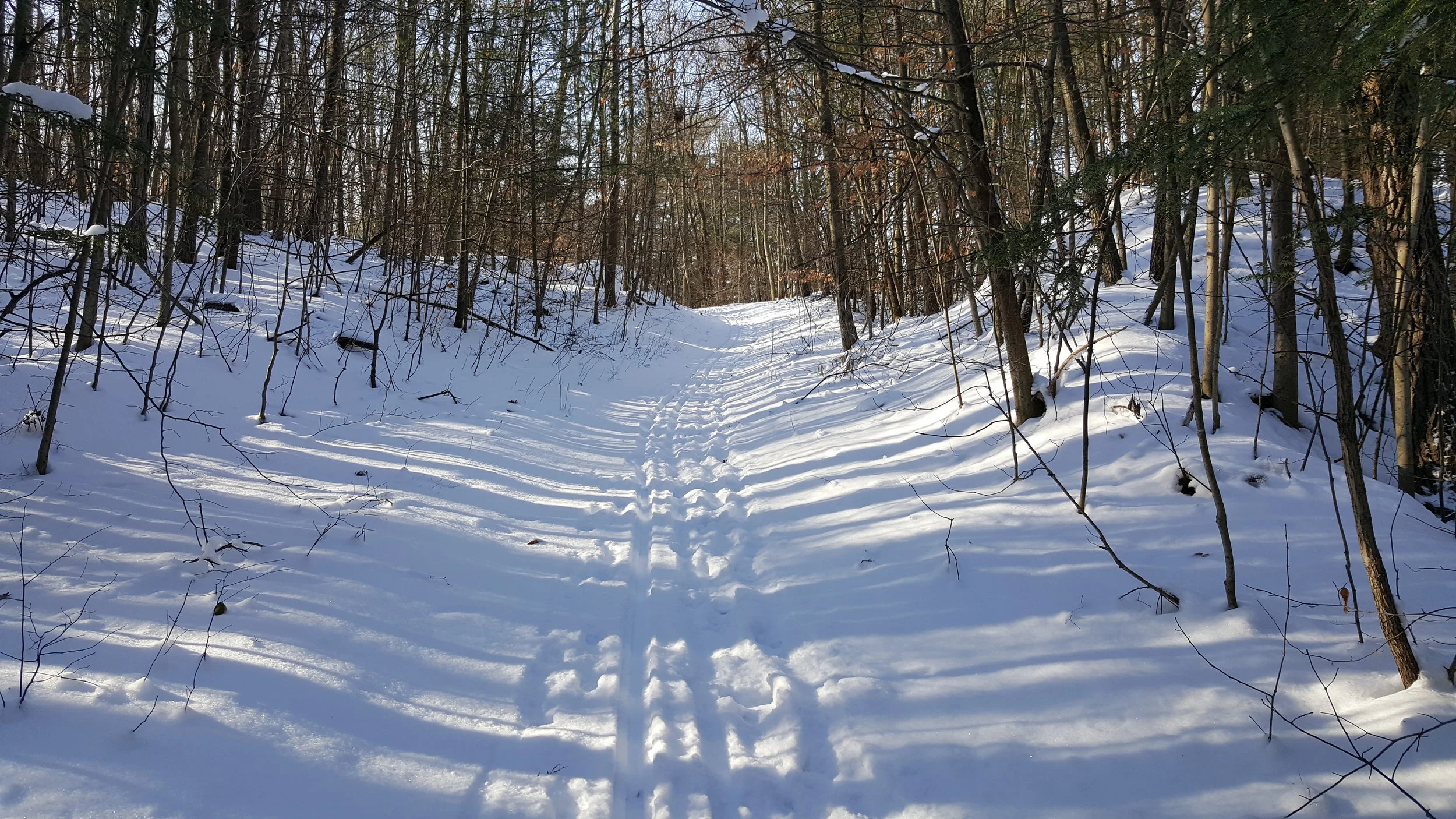 20190112_103404.jpg