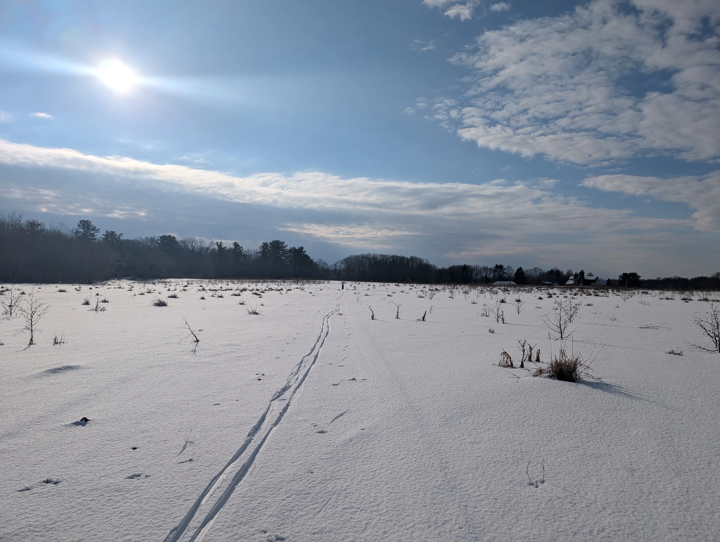 January 19, 2026 - MLK Day