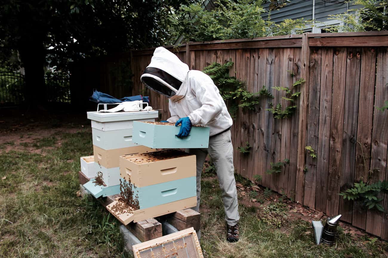 Lake Barkley Beekeepers Association