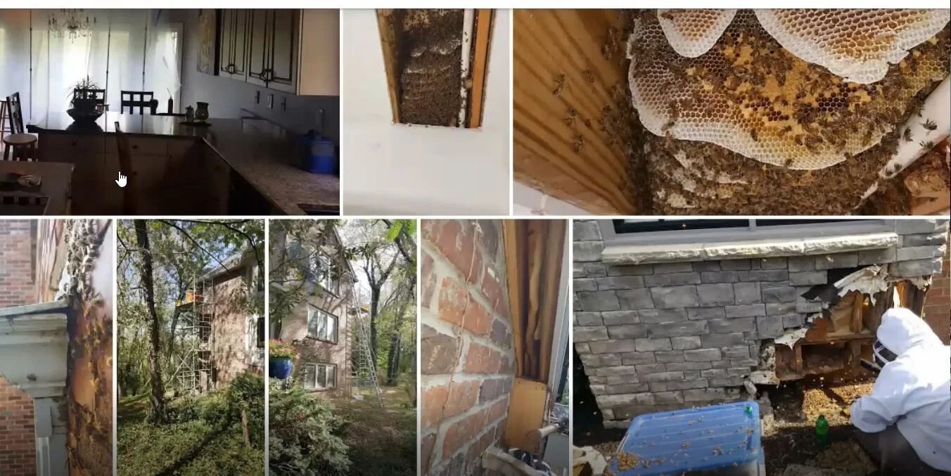 Recording - KBA October 2020 Educational Session on Cut-Outs