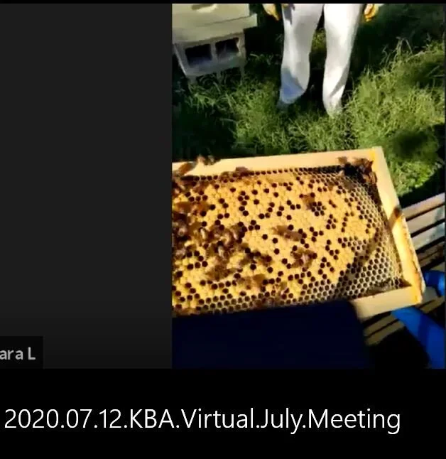 Recording - KBA July Virtual/In-Person Educational Session on Hive Inspections