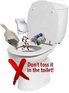 Your Guide to Preventing and Clearing Clogged Drains — Multi Trade ...