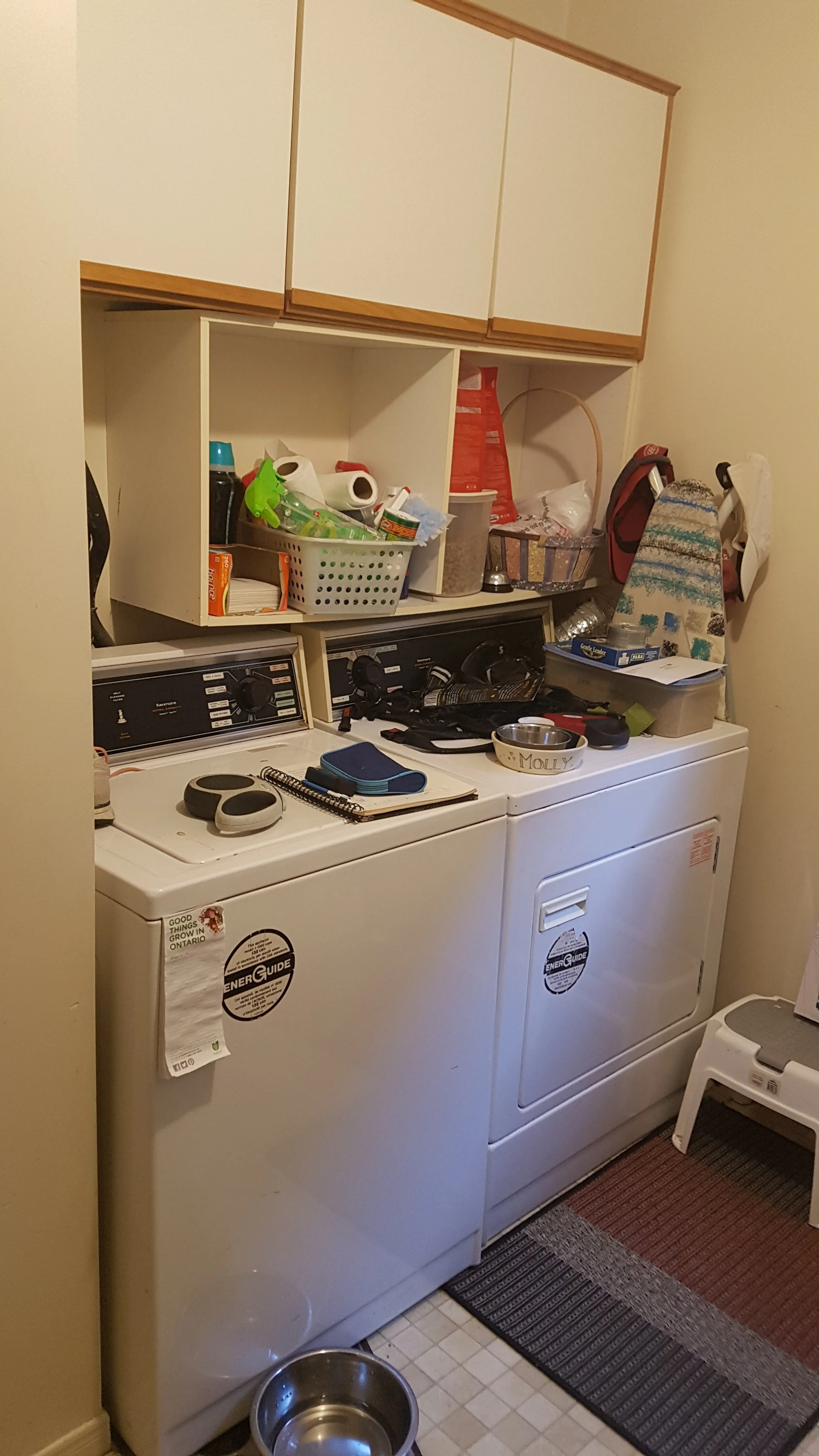 20191015_173156.jpg