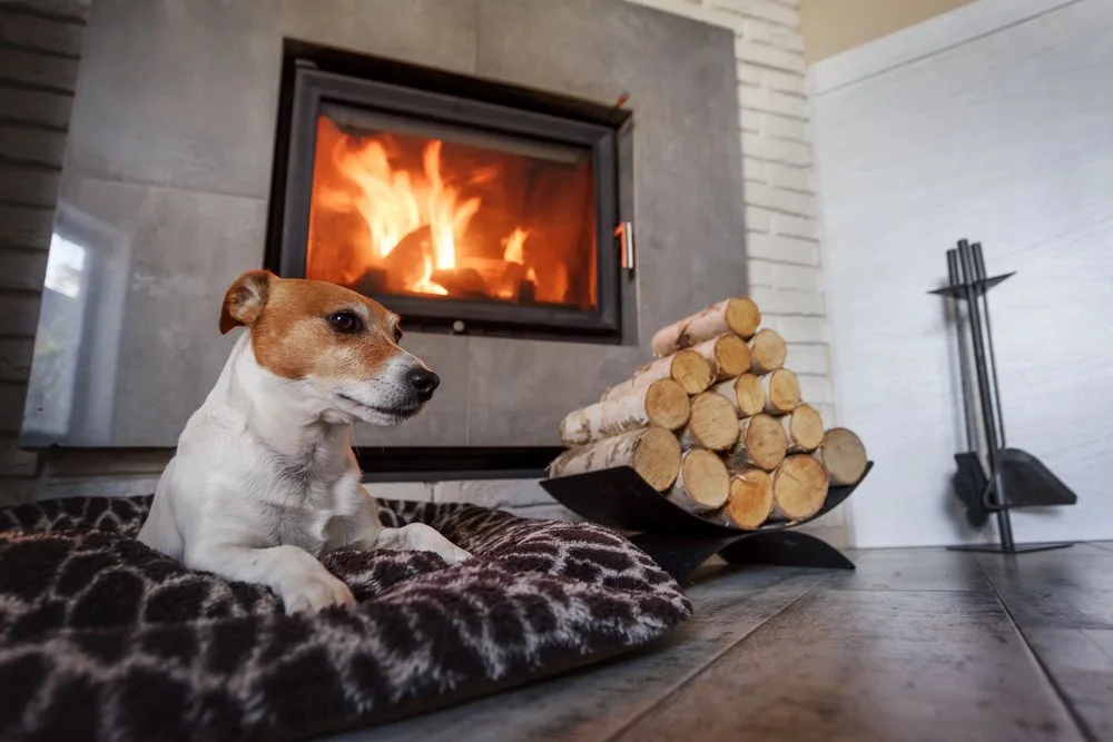 Fireplace Makeover Ideas: How to Modernize Your Fireplace Without Major Renovations