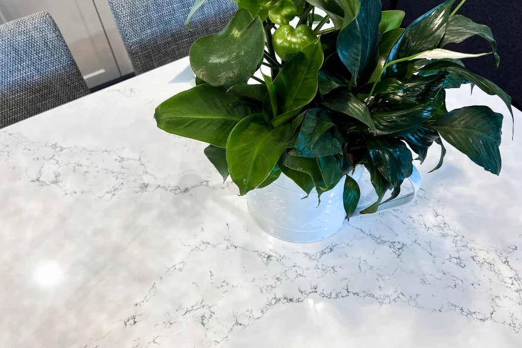 White quartz countertop with subtle gray veining and a decorative green plant centerpiece.