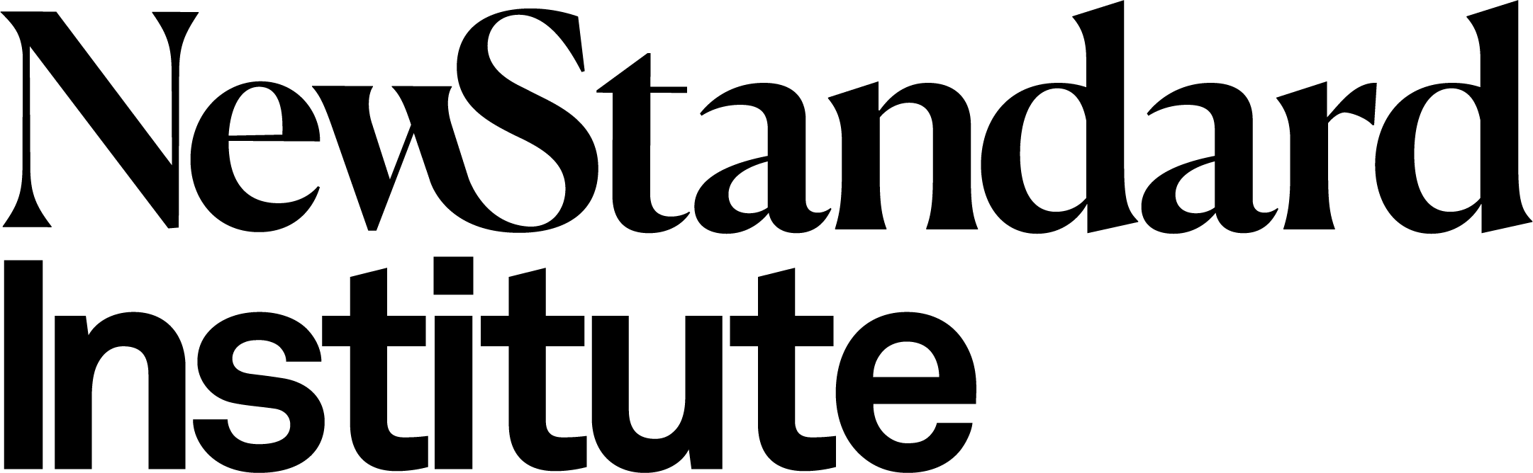 New Standard Institute