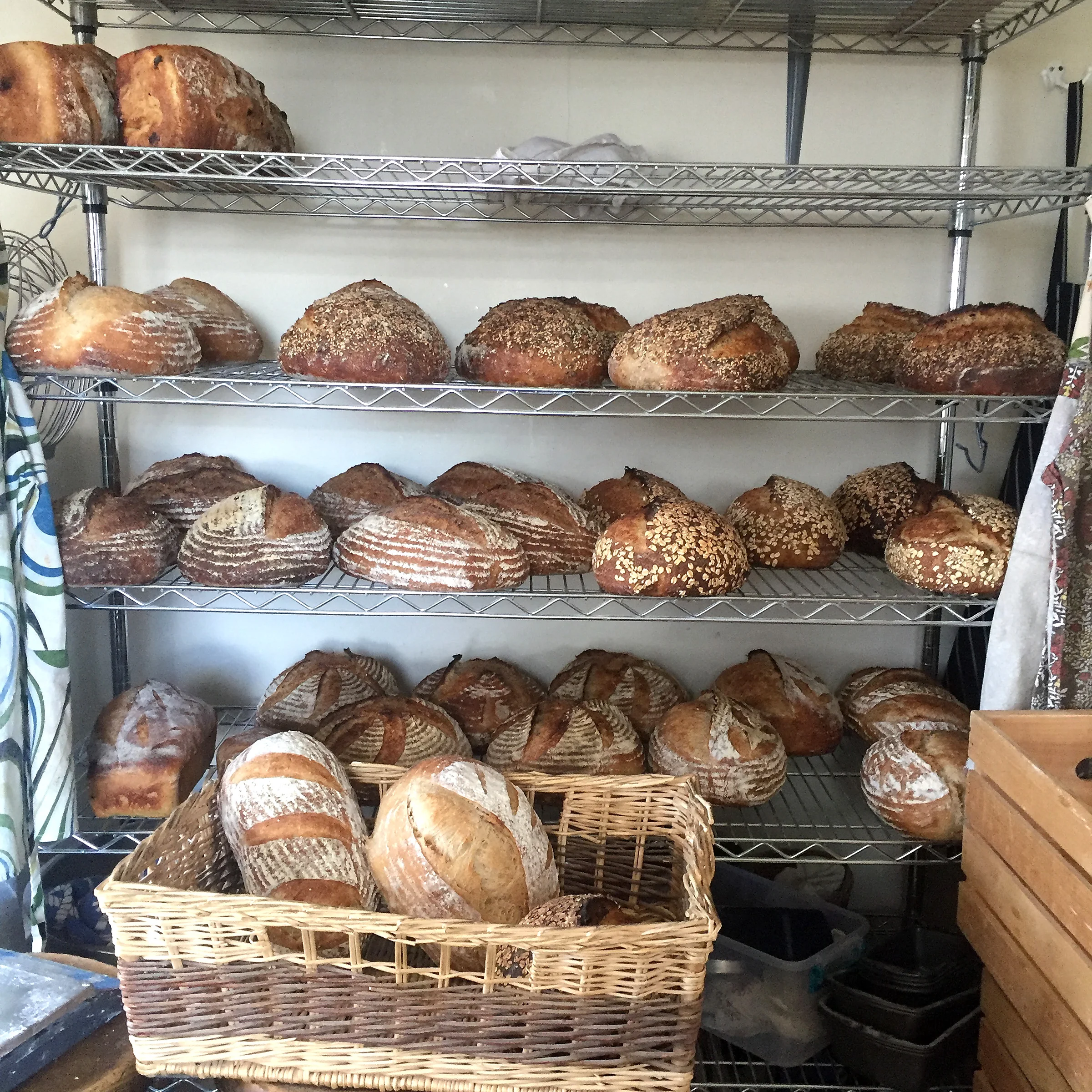 and moved into a bigger house...