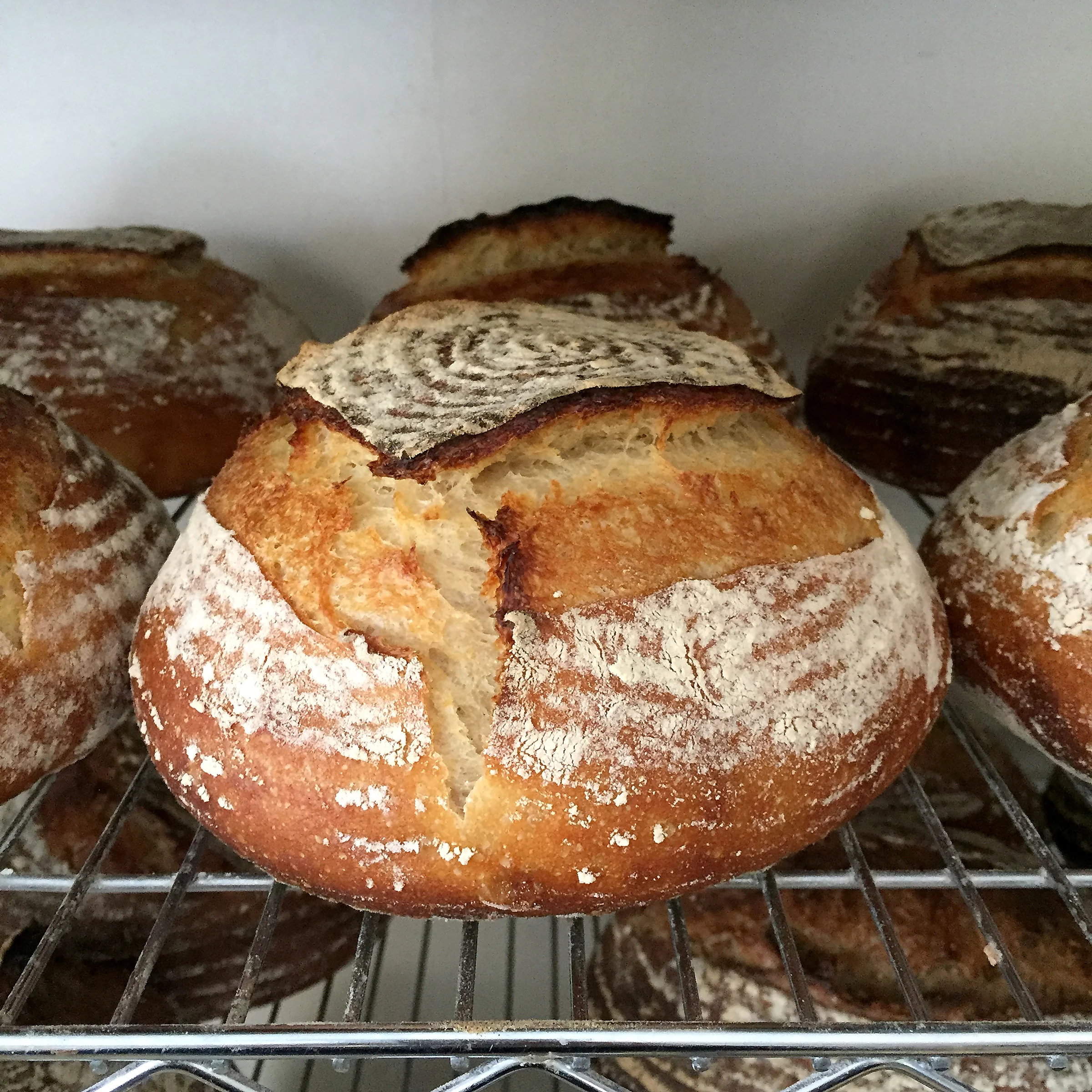 Kamut Sourdough