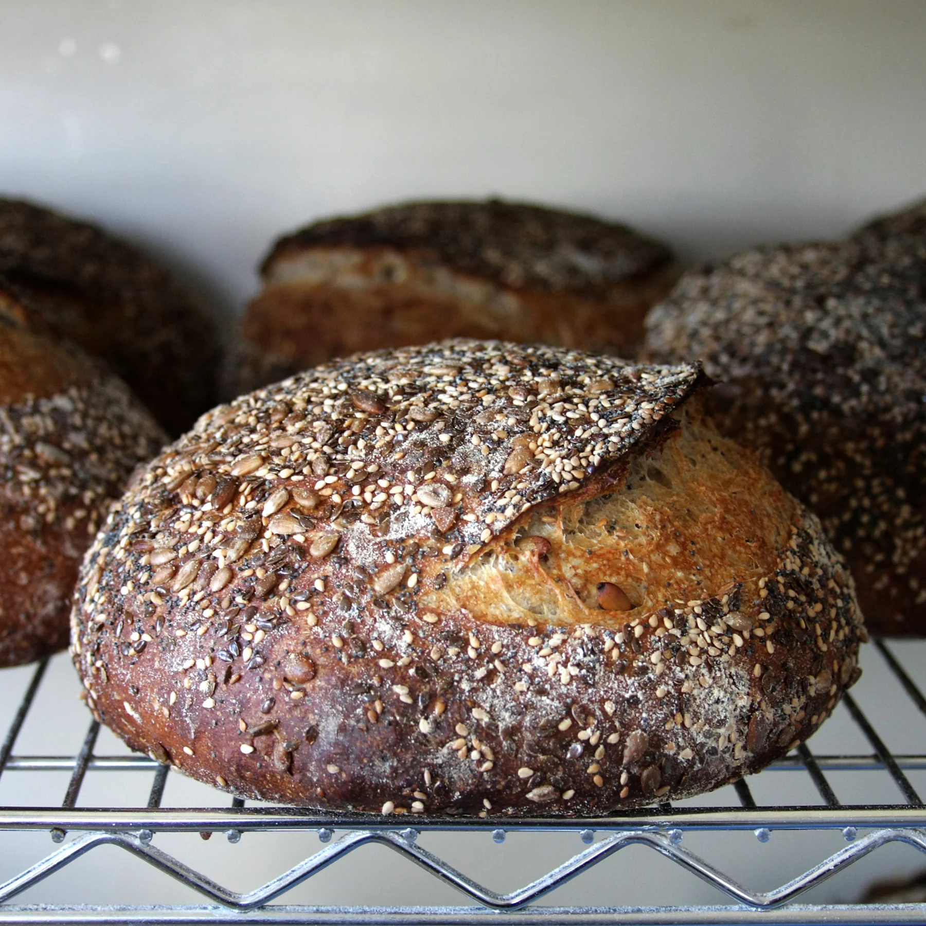 Seeded Rye