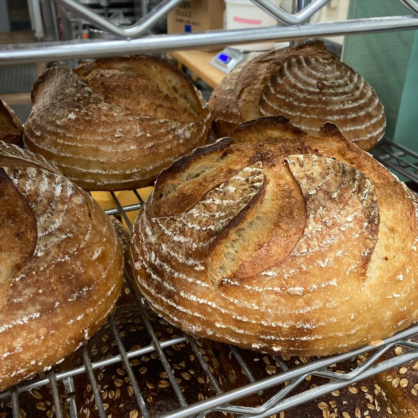 Hello friends! It is with some sadness I must announce that we are hiring again. We had another serious staff injury this morning and are in need of someone to fill the position of Bread Mixer (don&rsquo;t worry, it&rsquo;s safe to work here! This wa