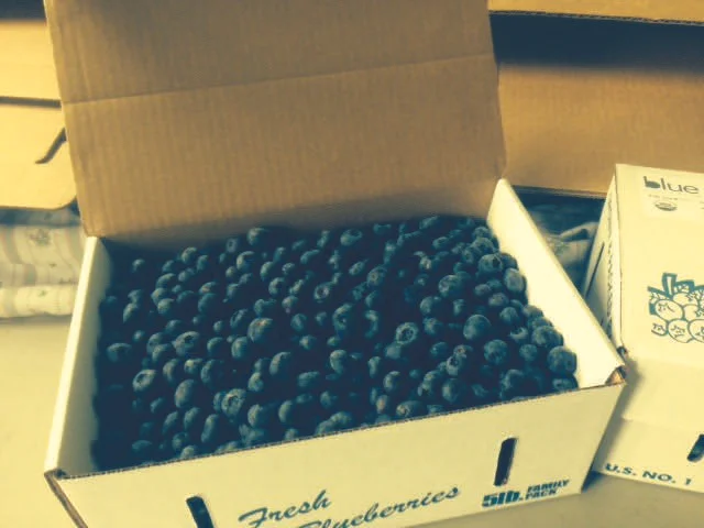 blueberry box lightened.jpg