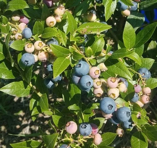 20180718_113719.jpg