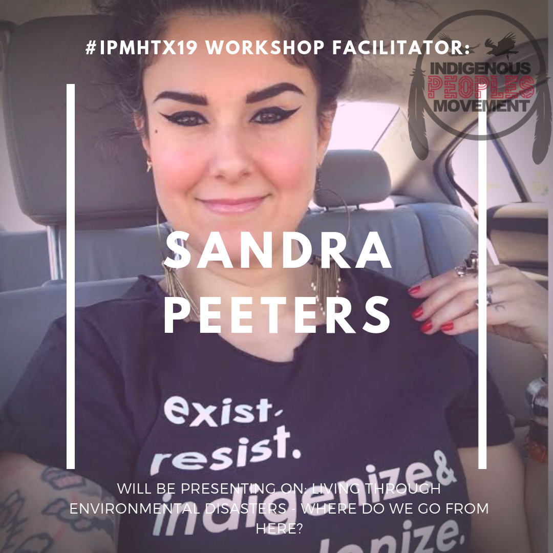 Sandra Cisneros Peeters ITC
