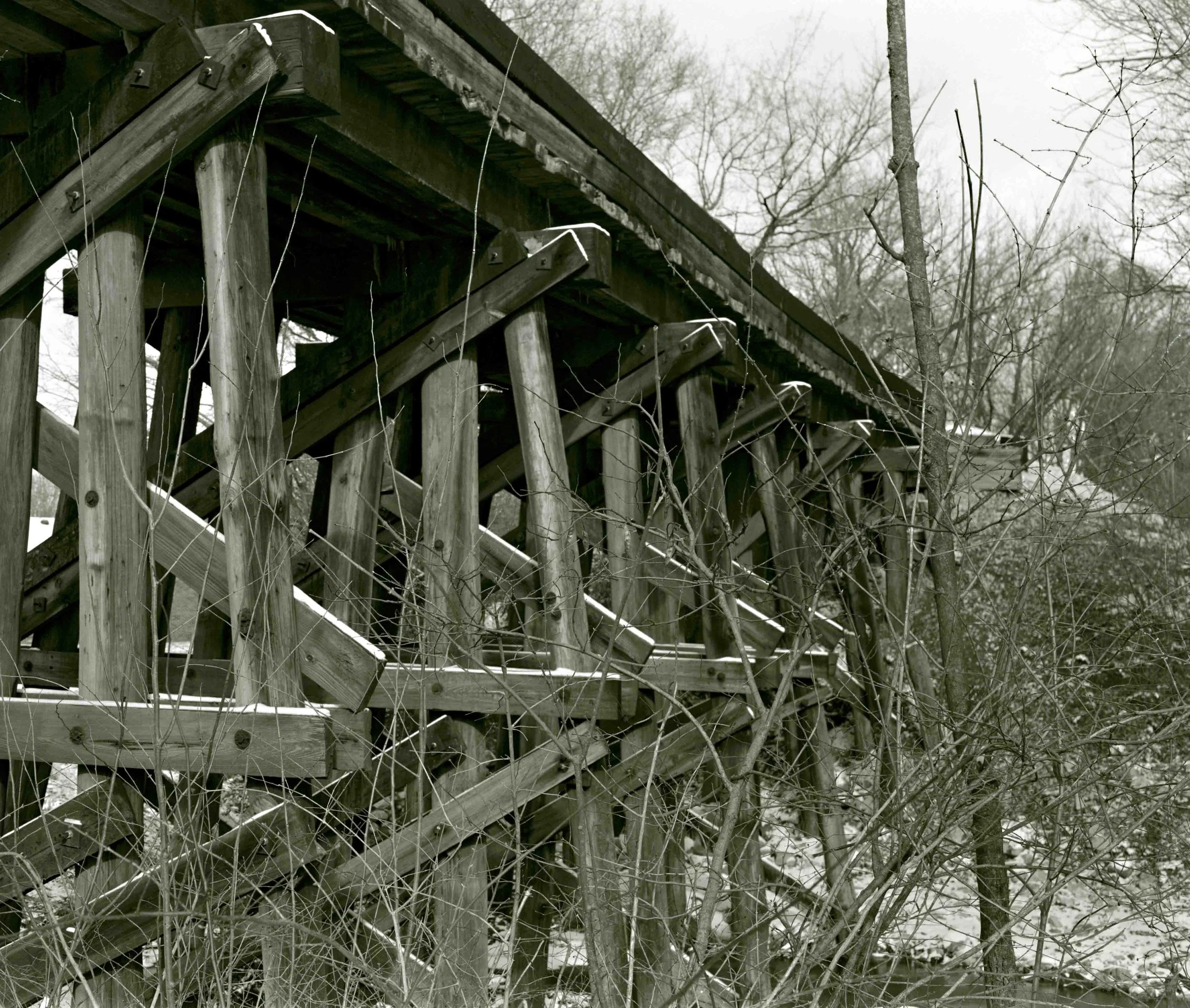 trellis