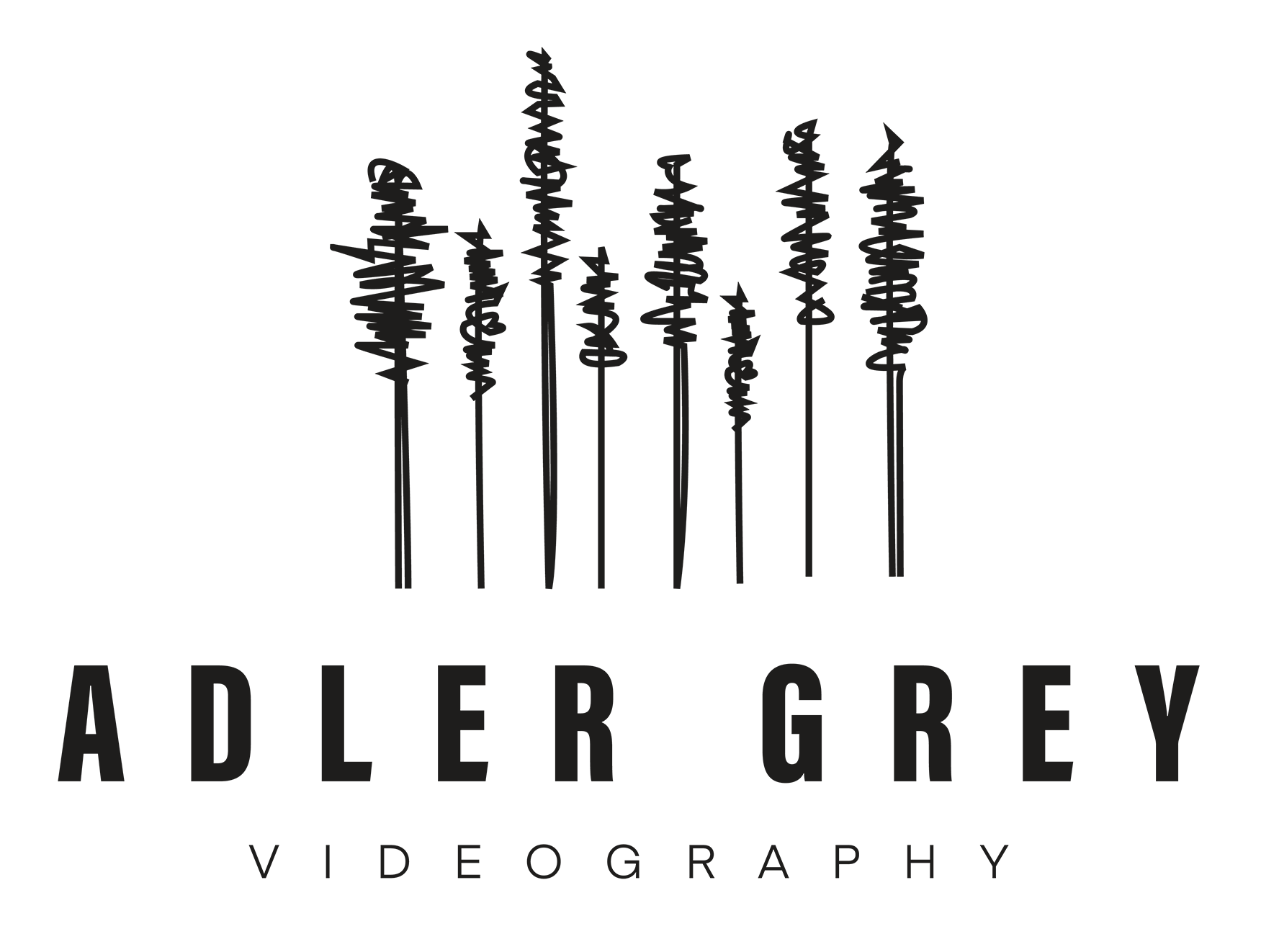 Adler Grey Videography